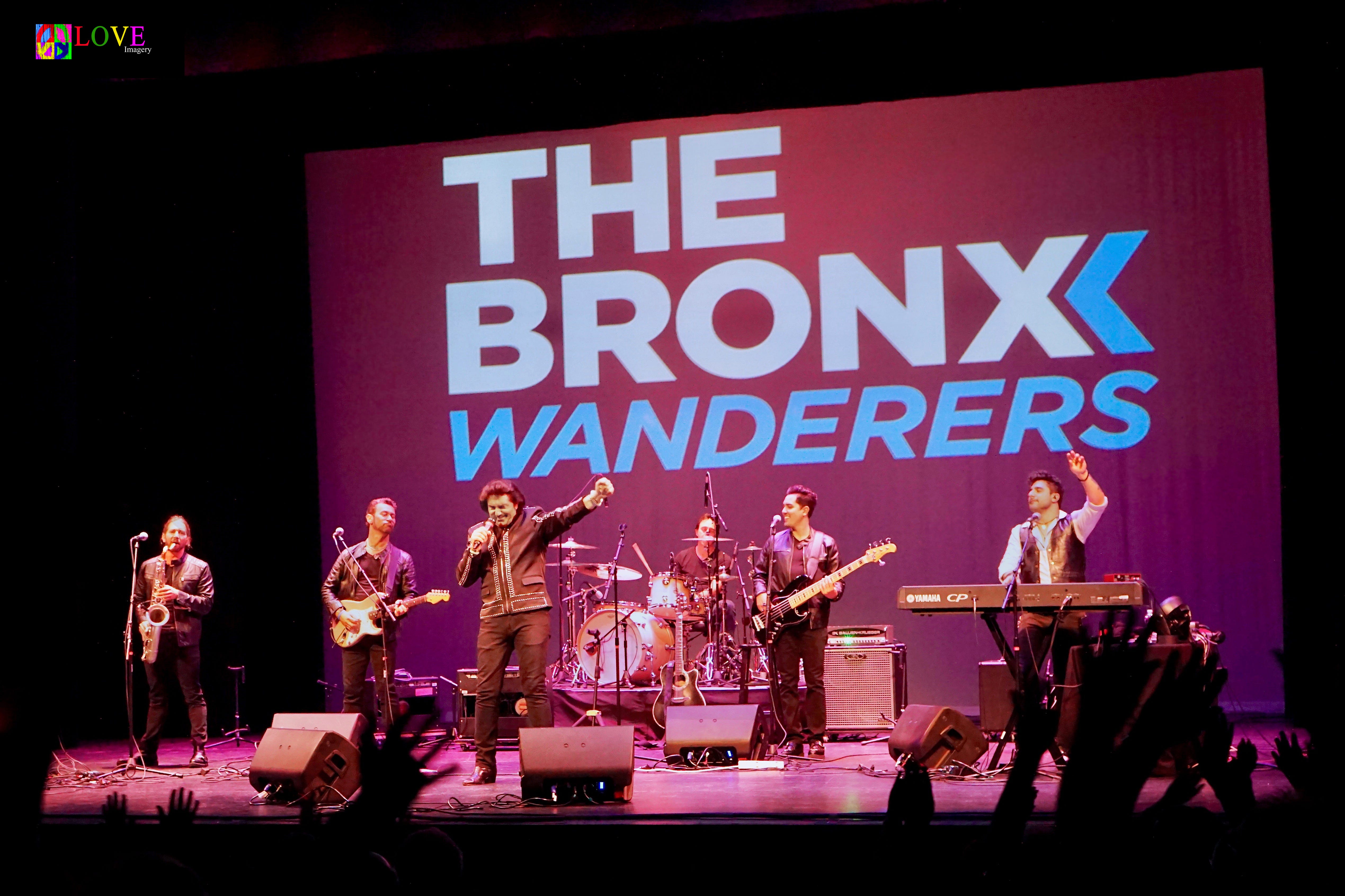 Audience at a The Bronx Wanderers concert